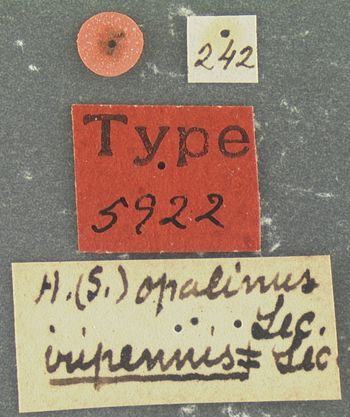 Media type: image;   Entomology 5922 Aspect: labels